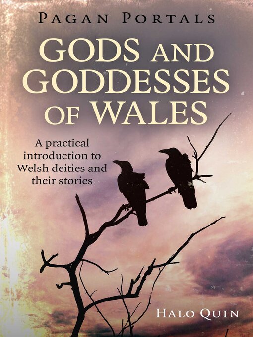 Title details for Pagan Portals--Gods and Goddesses of Wales by Halo Quin - Available